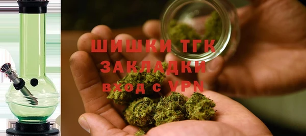 mdpv Краснослободск